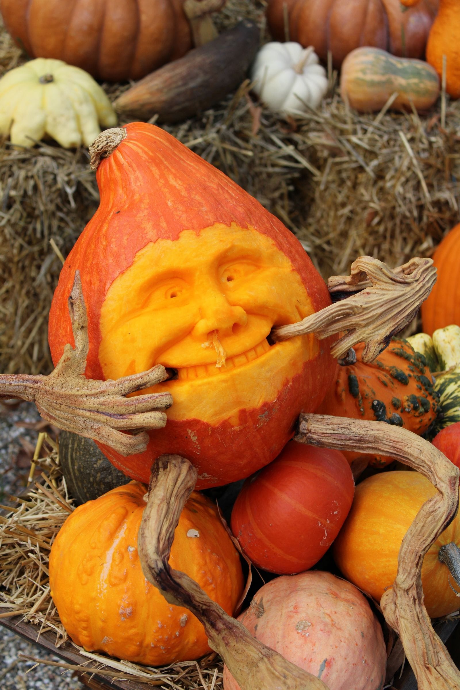 Carved pumpkin decoration - Halloween party minibus hire