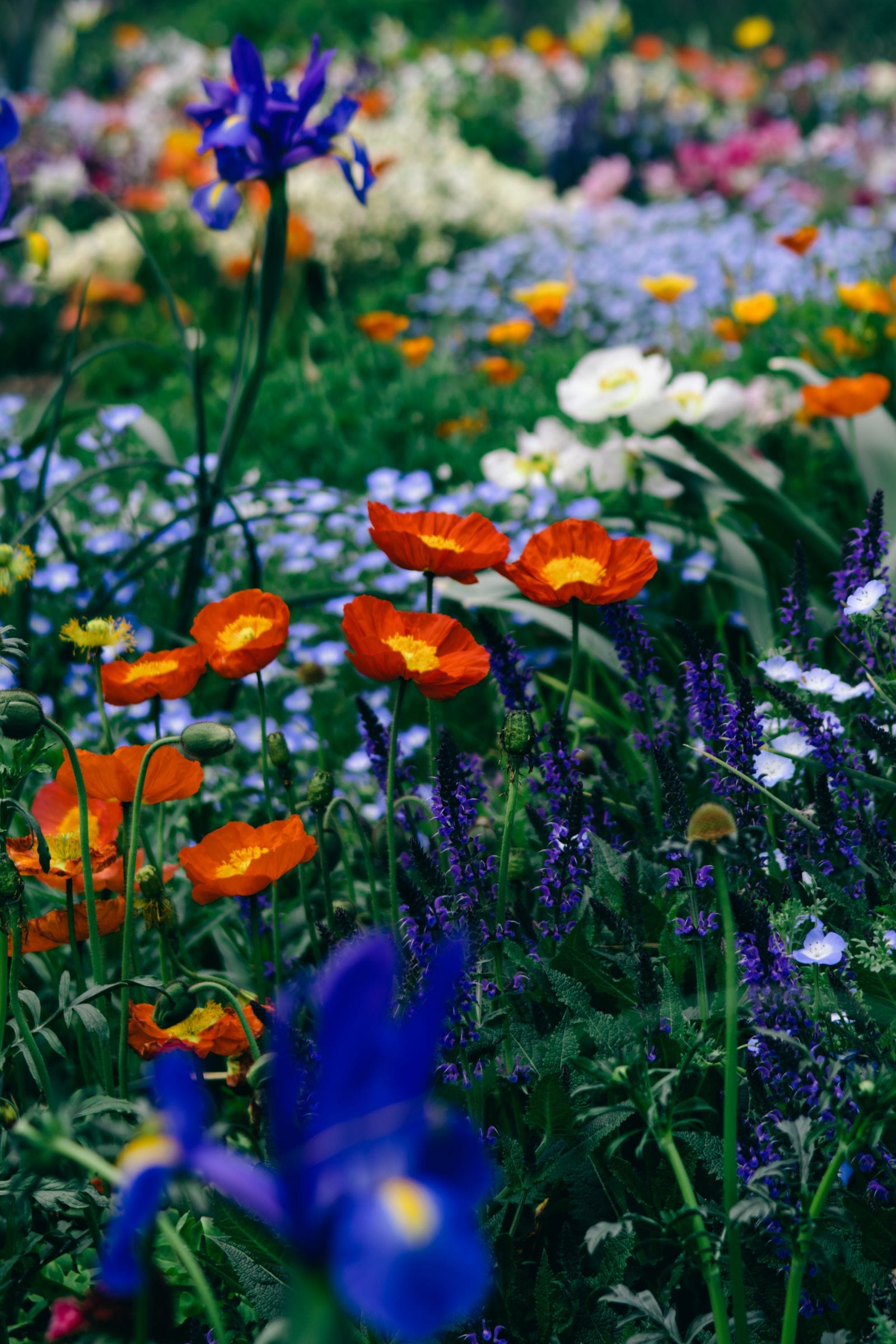 Flower garden display - Southport Flower Show minibus hire